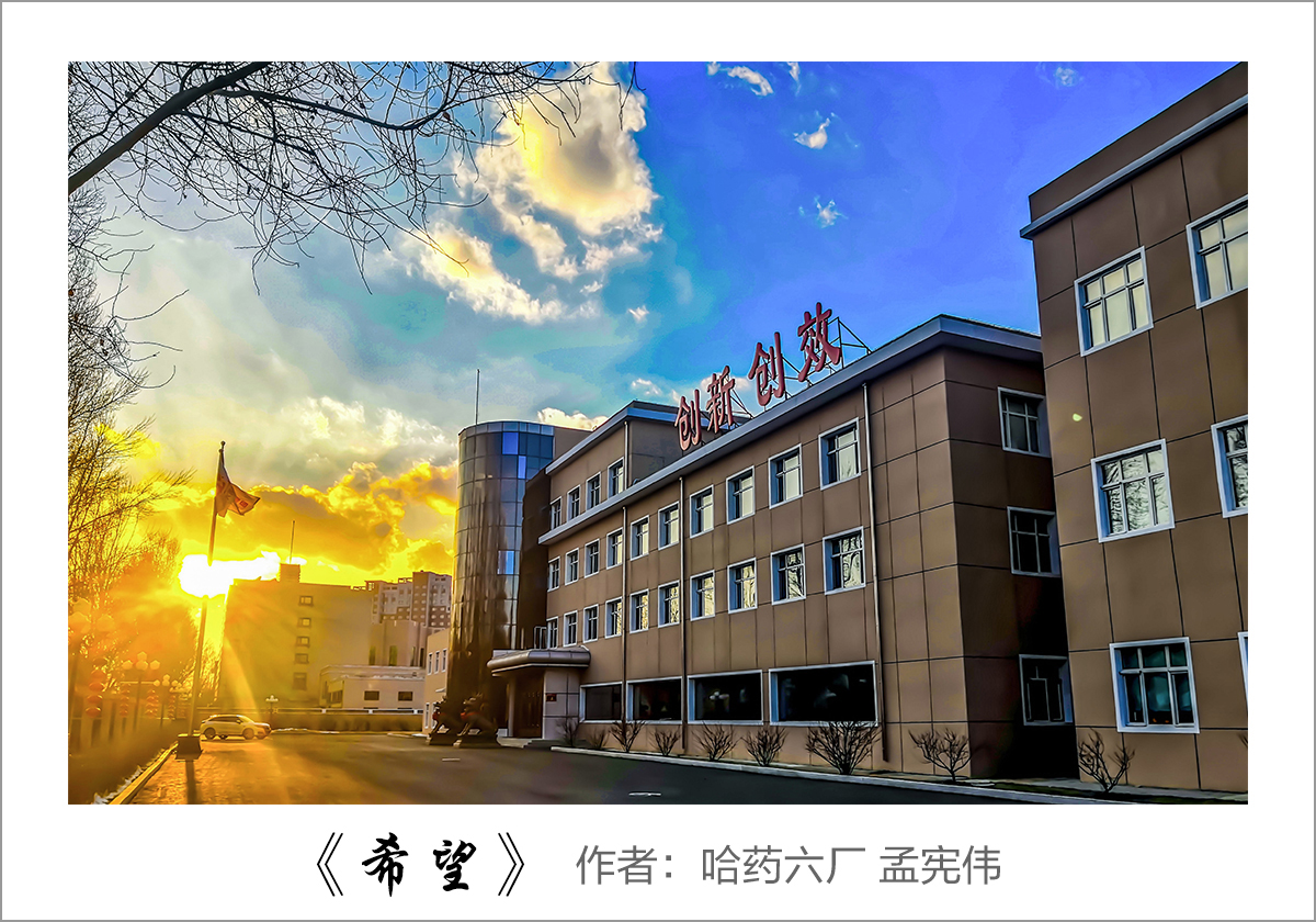 【迎國(guó)慶 展風(fēng)采】我眼中的哈藥——職工攝影大賽作品展示!